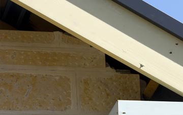 soffit repair Whelpo