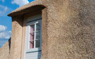 Whelpo thatch roof disadvantages